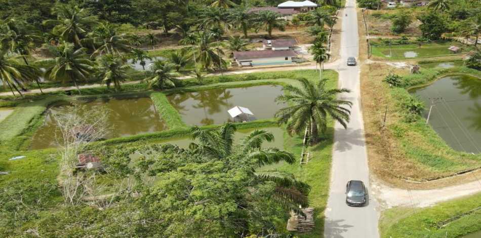 DESA WISATA KAMPUNG PATIN