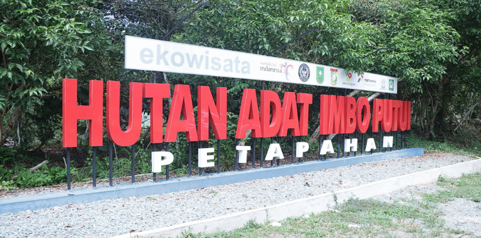HUTAN ADAT IMBO PUTUI